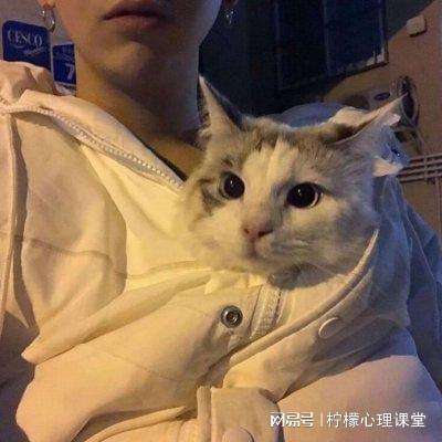 口袋妖怪联盟360版下载