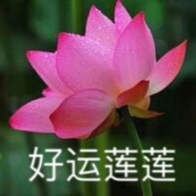 我在神界刷装备台服下载